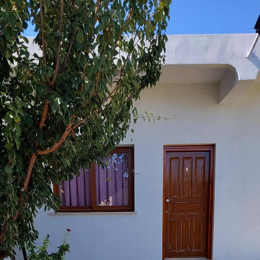 La Medusa Gardens Iskele District  Dış mekan fotoğraf