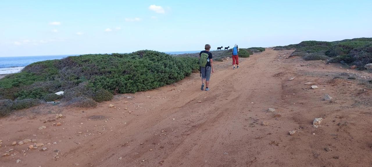 La Medusa Gardens Iskele District  Dış mekan fotoğraf