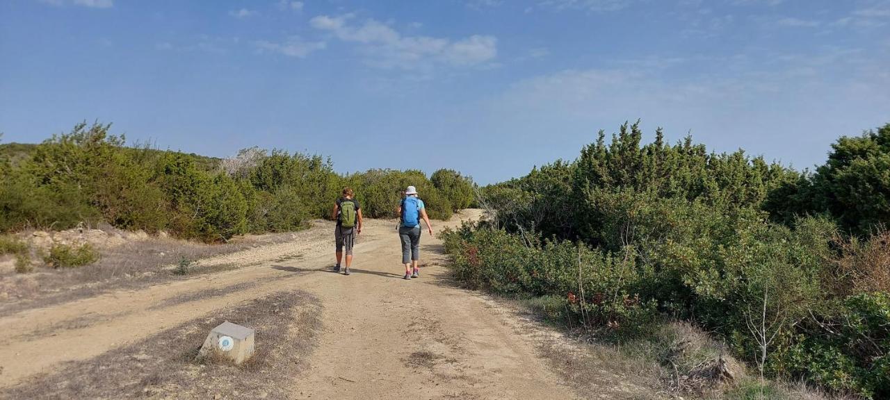 La Medusa Gardens Iskele District  Dış mekan fotoğraf